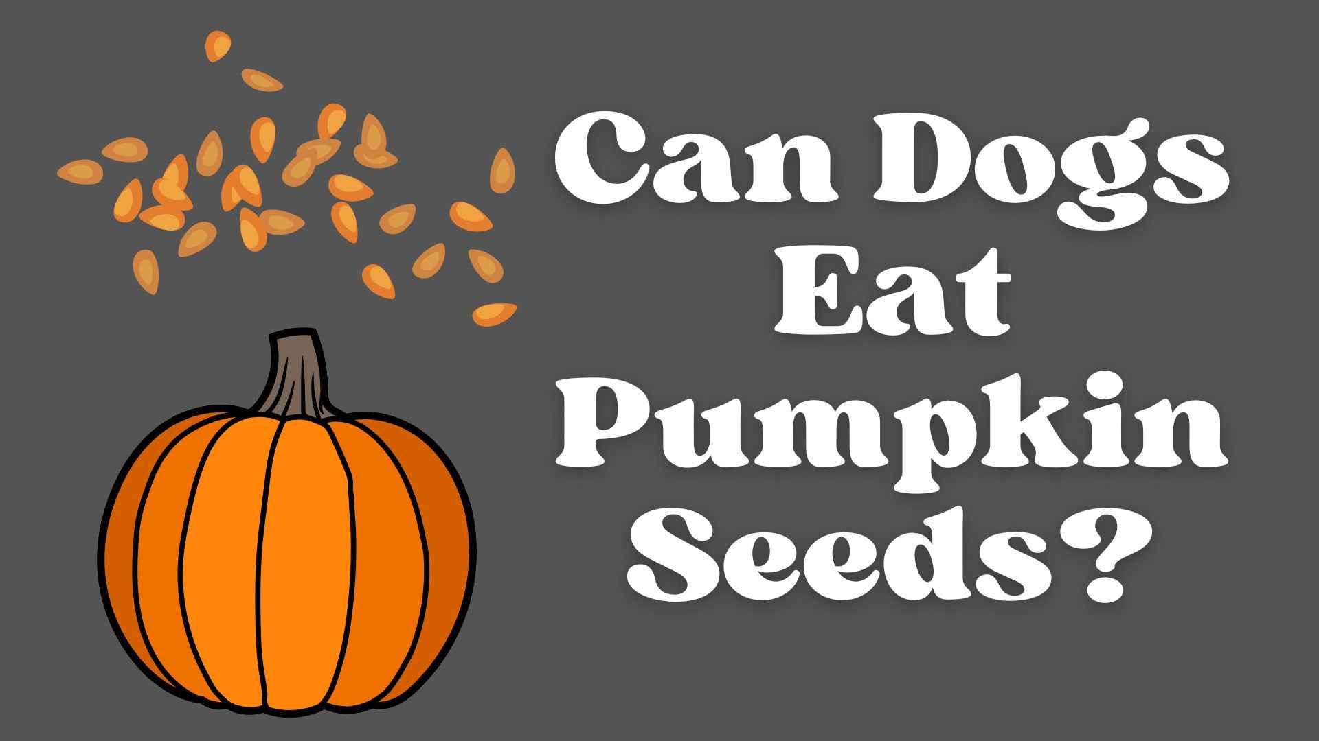 Can Dogs Eat Pumpkin Seeds?