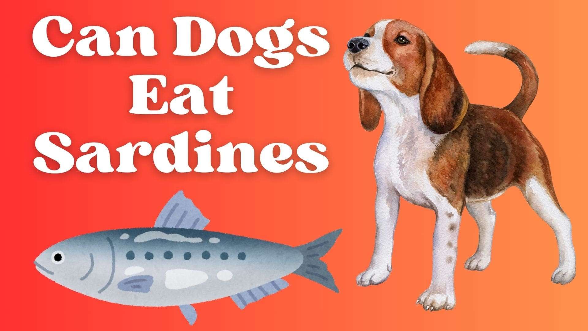 Can Dogs Eat Sardines