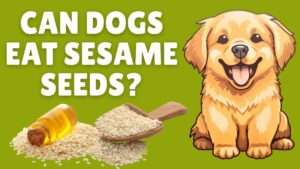 Can Dogs Eat Sesame Seeds?