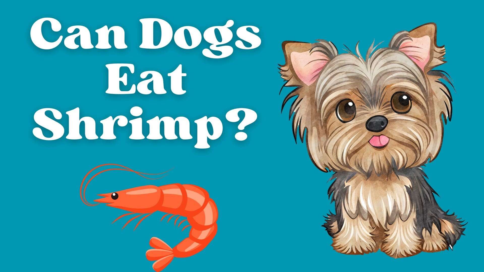 Can Dogs Eat Shrimp?