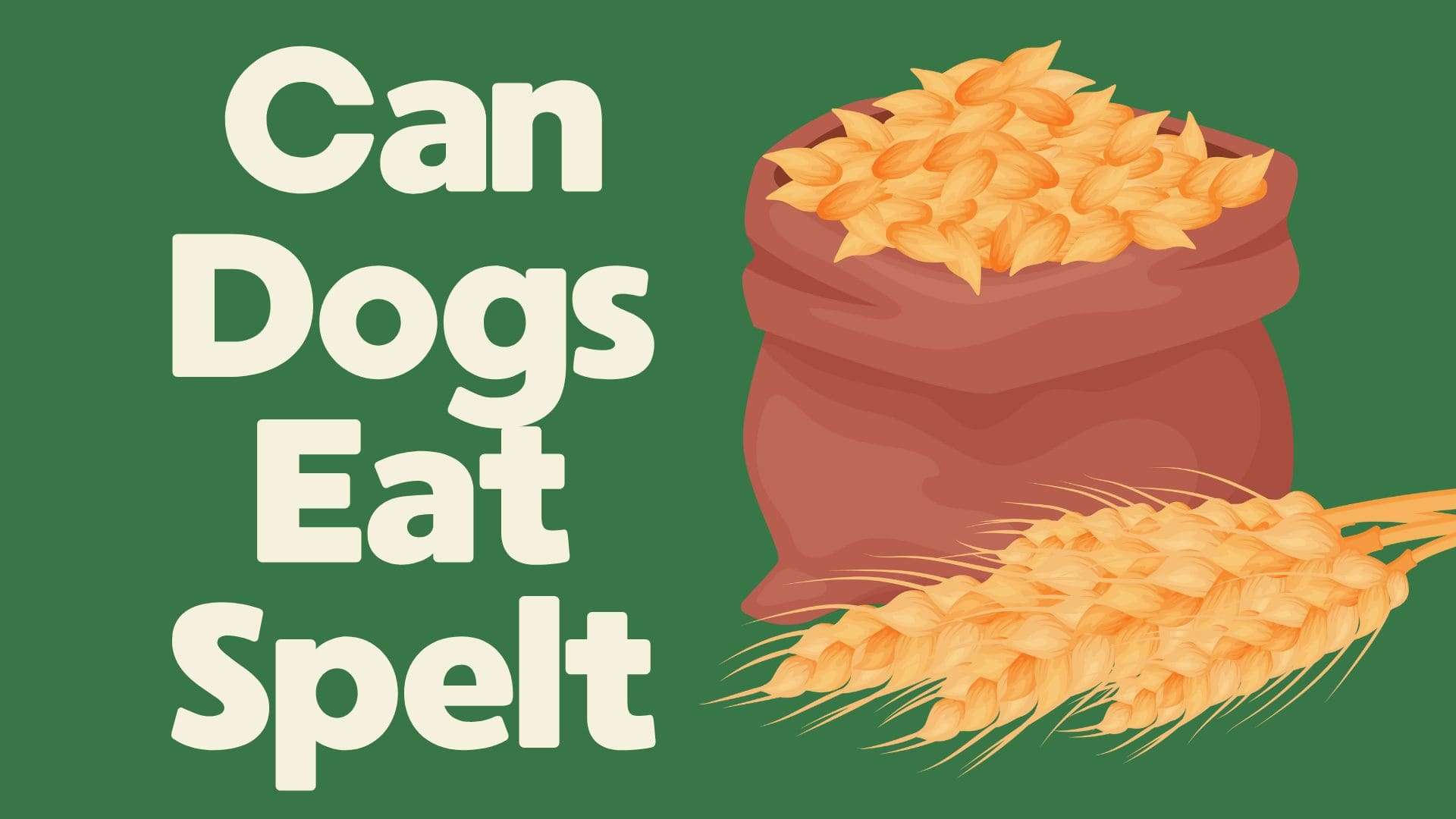 Can Dogs Eat Spelt