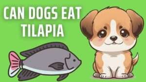 Can Dogs Eat Tilapia