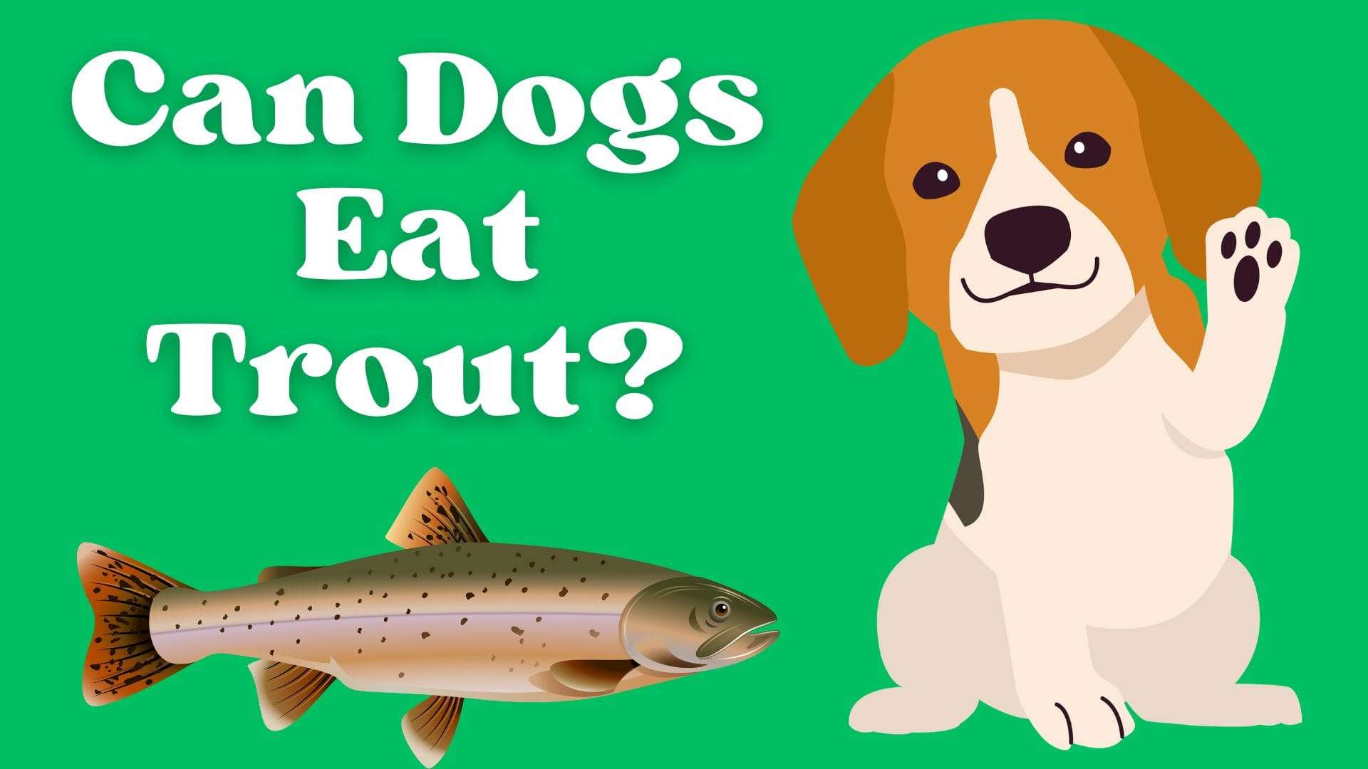 Can Dogs Eat Trout?