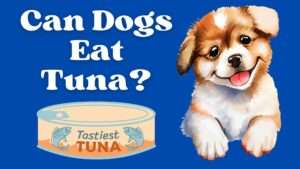 Can Dogs Eat Tuna?