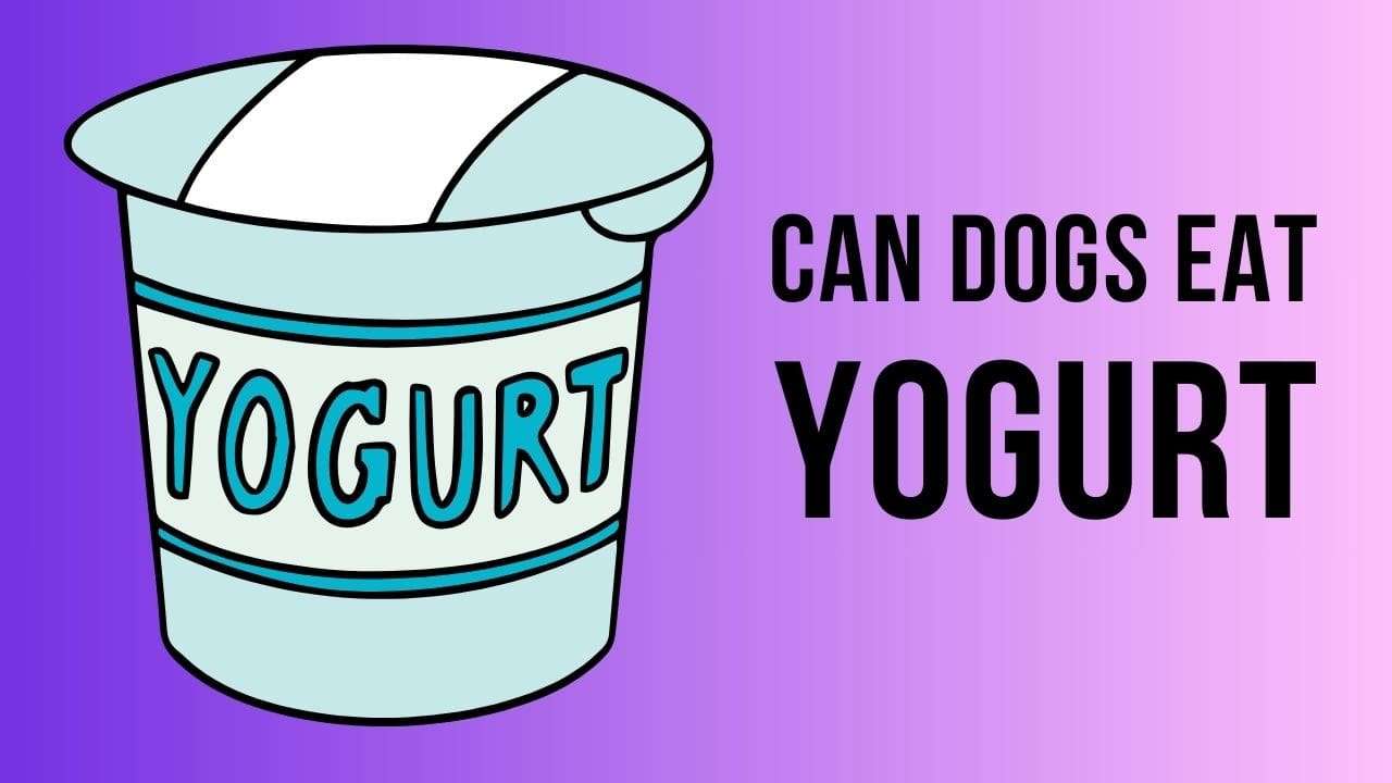 Can Dogs Eat Yogurt