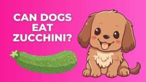 Can Dogs Eat Zucchini?