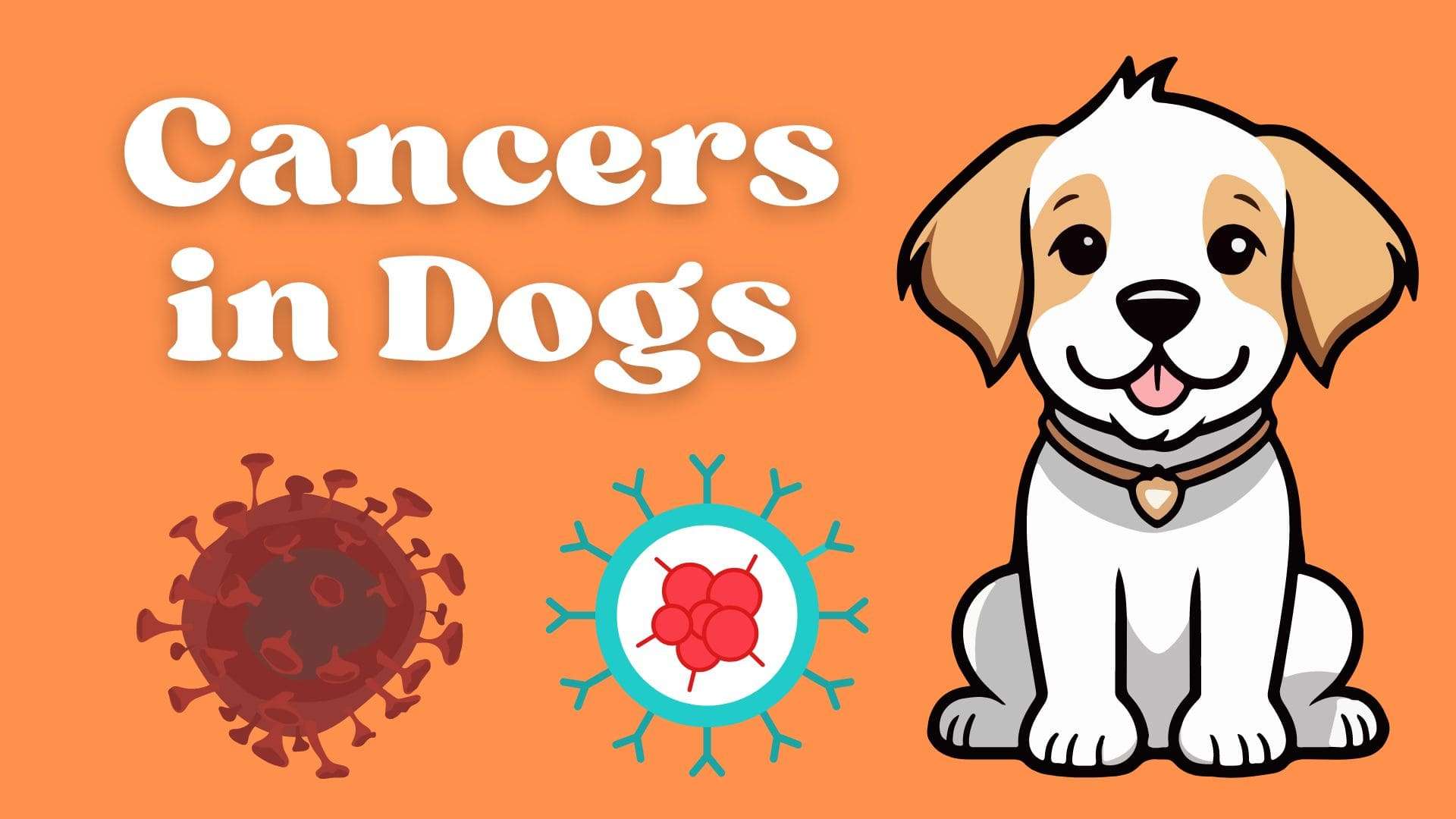 Cancers in Dogs