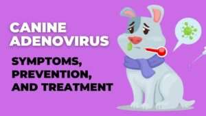 Canine Adenovirus: Symptoms, Prevention, and Treatment