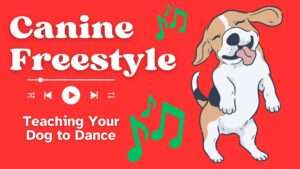 Canine Freestyle | Teaching Your Dog to Dance