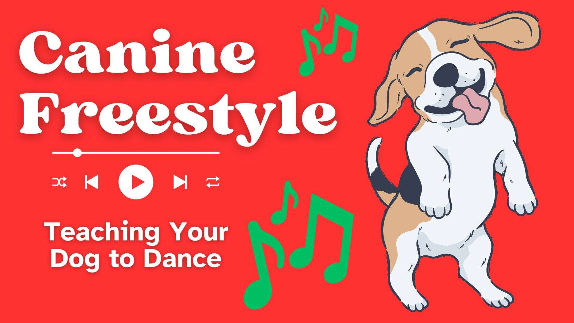 Canine Freestyle