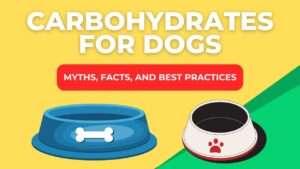 Carbohydrates For Dogs: Myths, Facts, and Best Practices