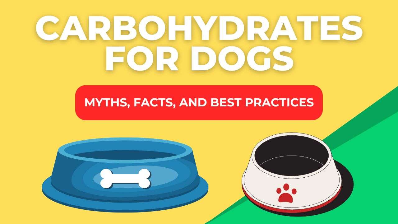 Carbohydrates For Dogs: Myths, Facts, and Best Practices