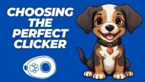 Choosing the Perfect Clicker: Guide to Dog Training Tools