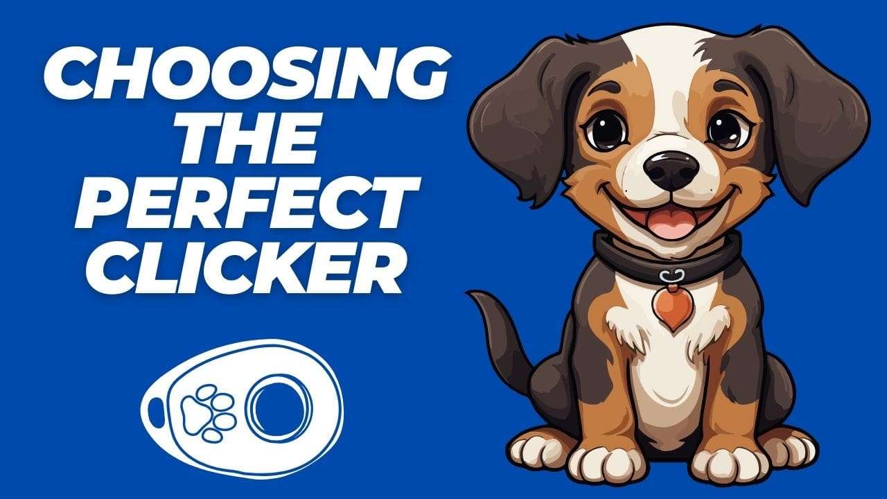 Choosing the Perfect Clicker