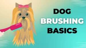 Brushing Basics | Essential Tips for Regular Dog Grooming