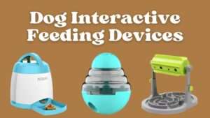 Dog Interactive Feeding Devices