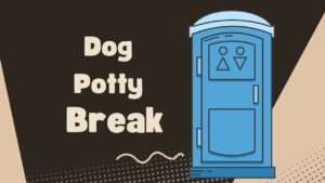 Dog Potty Break | A Comprehensive Guide for Dog Owners