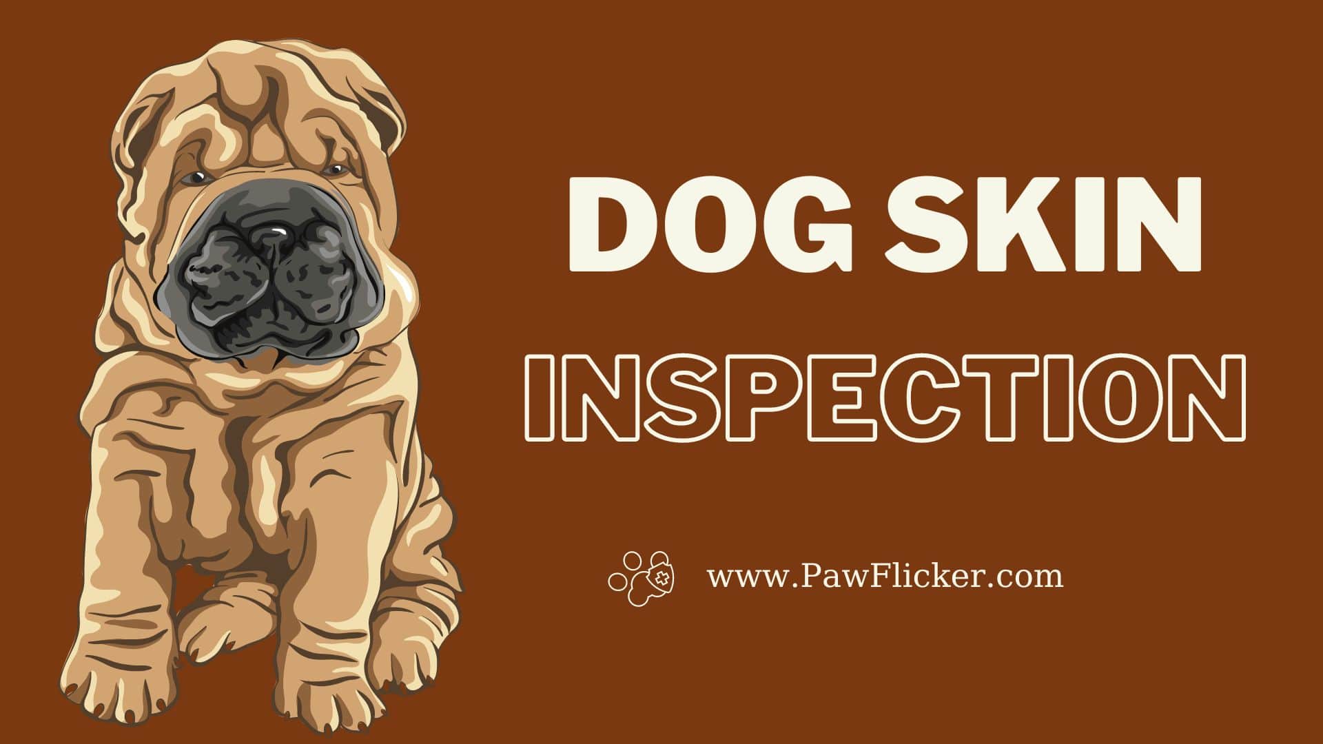 Dog Skin Inspection | A Guide to Dog Skin Inspection Techniques - Paw ...