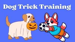 Dog Trick Training | Fun and Effective Trick Training Techniques