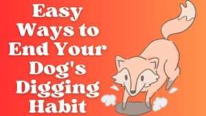 Easy Ways to End Your Dog’s Digging Habit