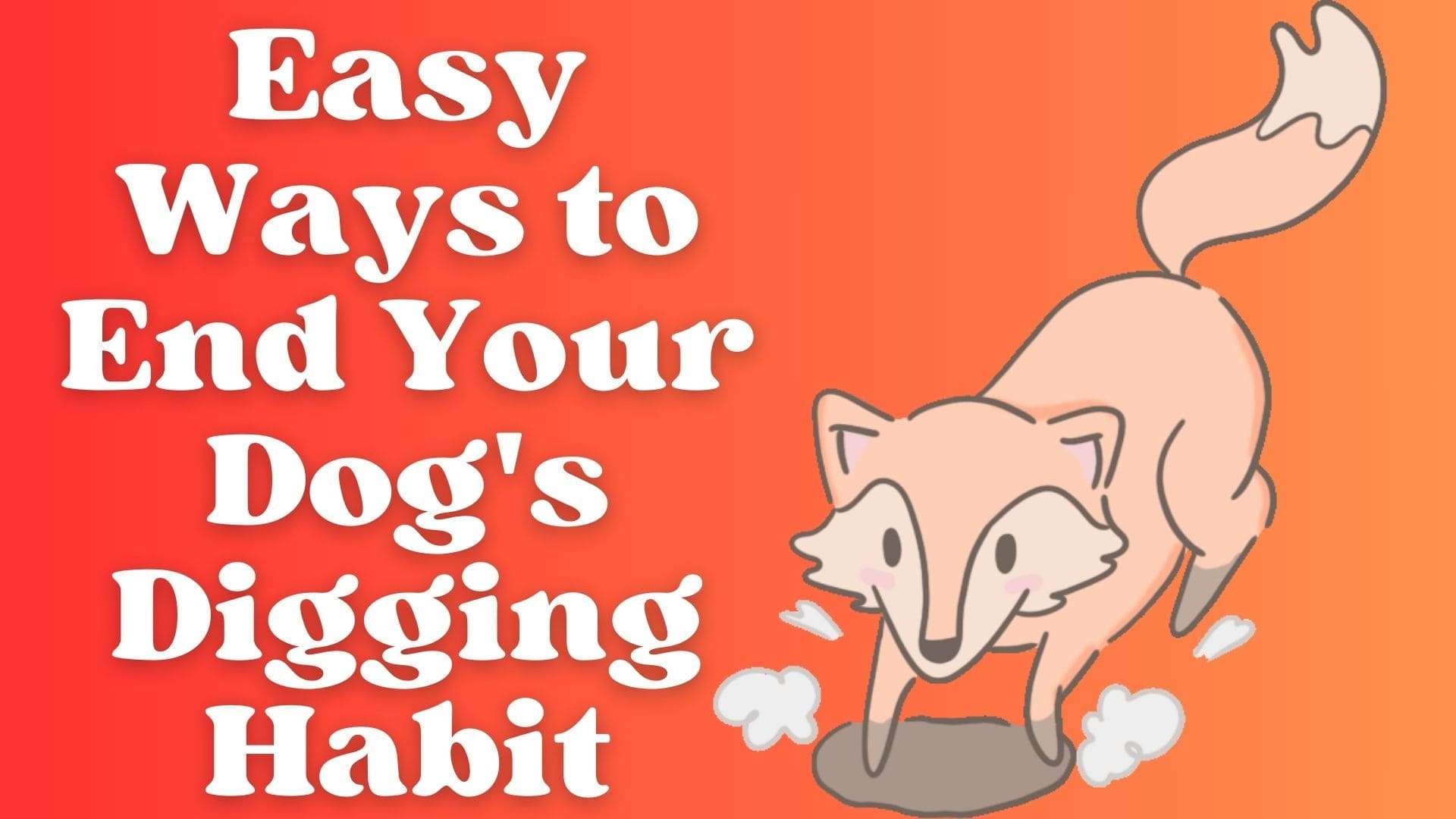 Easy Ways to End Your Dog's Digging Habit