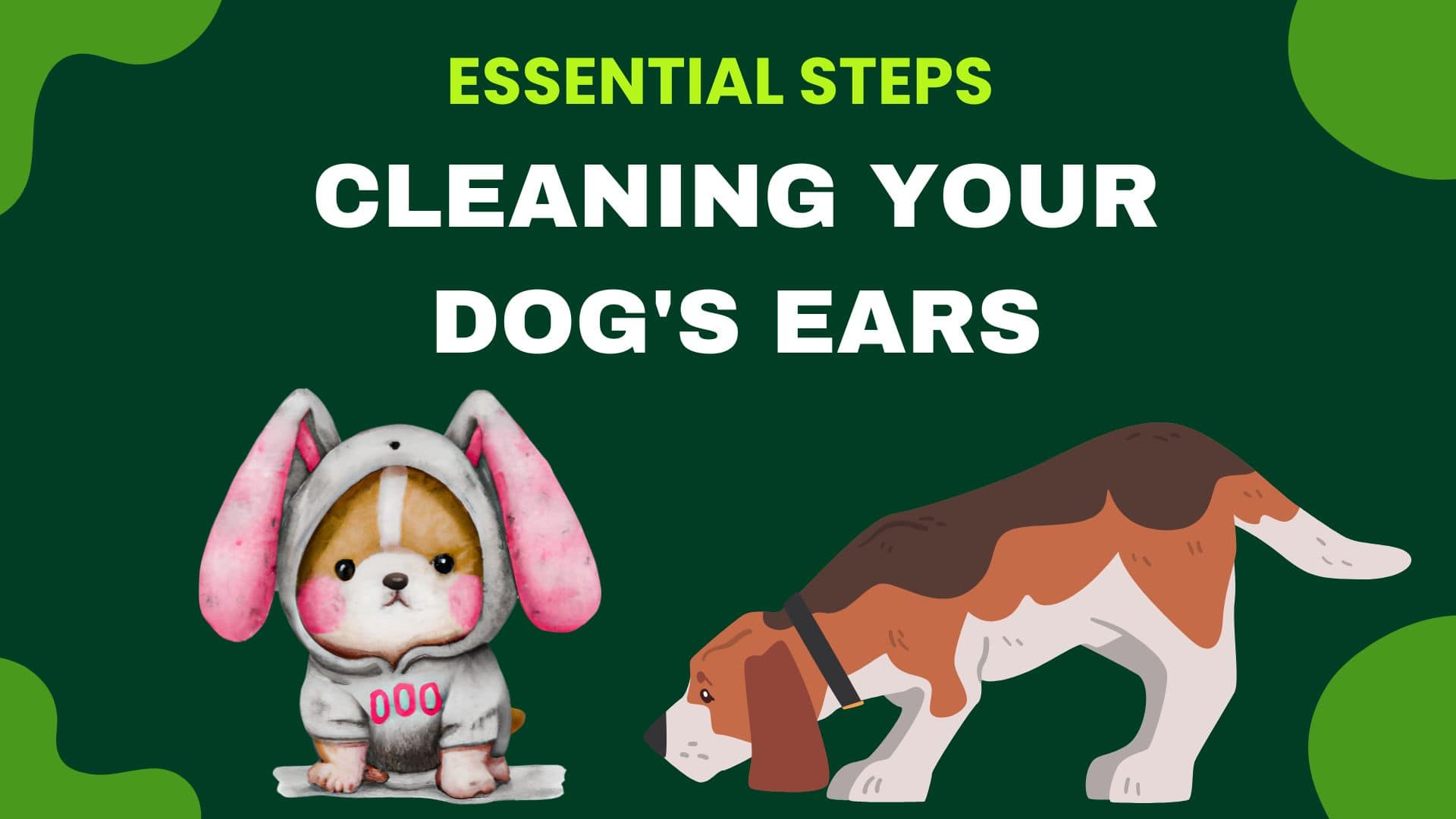 Essential Steps for Cleaning Your Dog's Ears