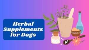 Herbal Supplements for Dogs