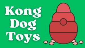 Kong Dog Toys | Elevating Play for Happy Dogs