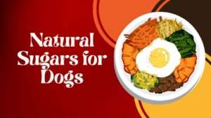 Natural Sugars for Dogs: Sources, Benefits and Considerations