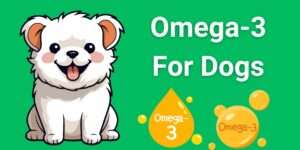 Omega-3 for Dogs | Vital Health Tips