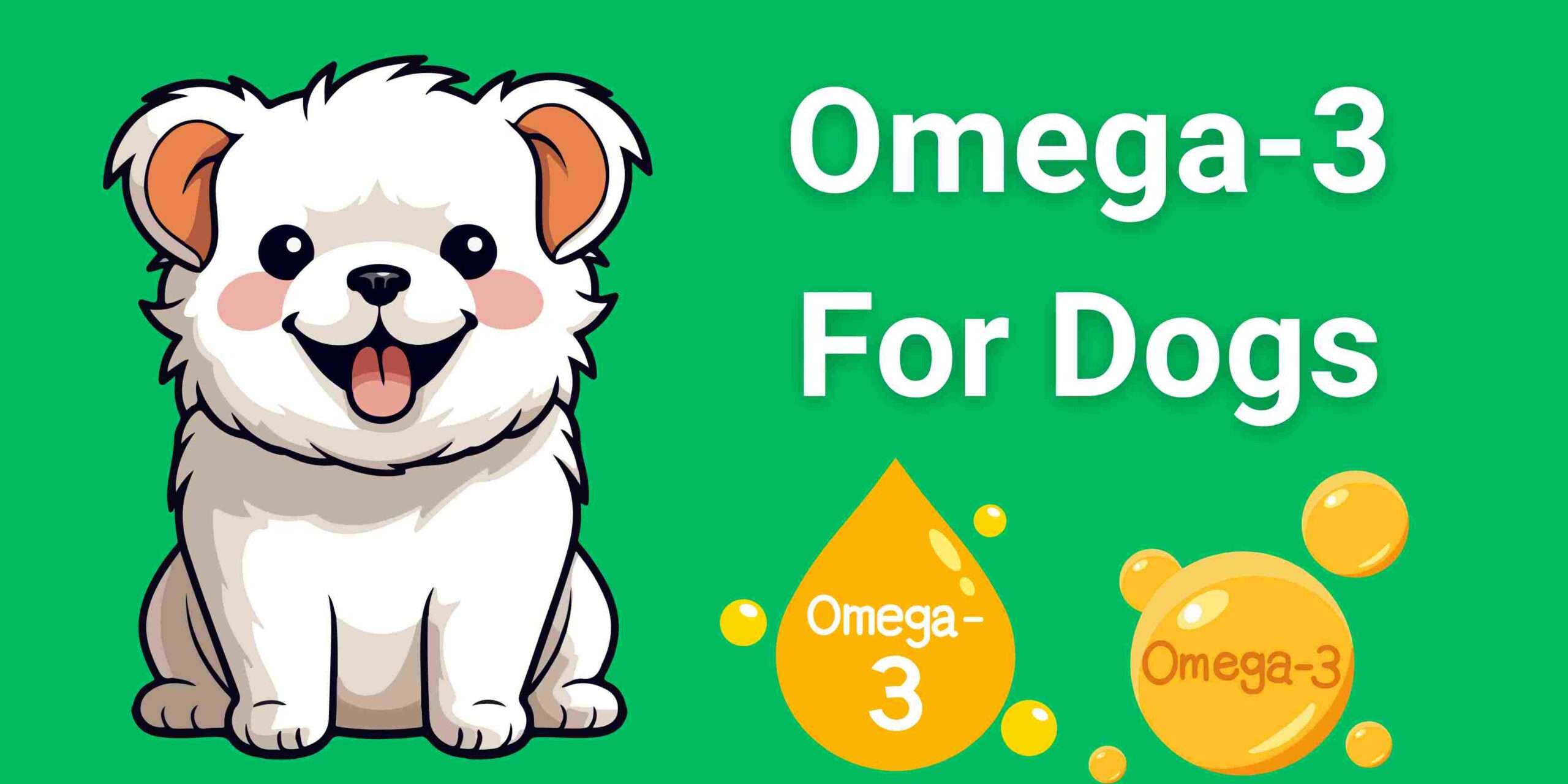 Omega-3 For Dogs