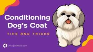 Tips and Tricks for Conditioning Your Dog’s Coat