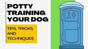 Potty Training Your Dog: Tips, Tricks, and Techniques