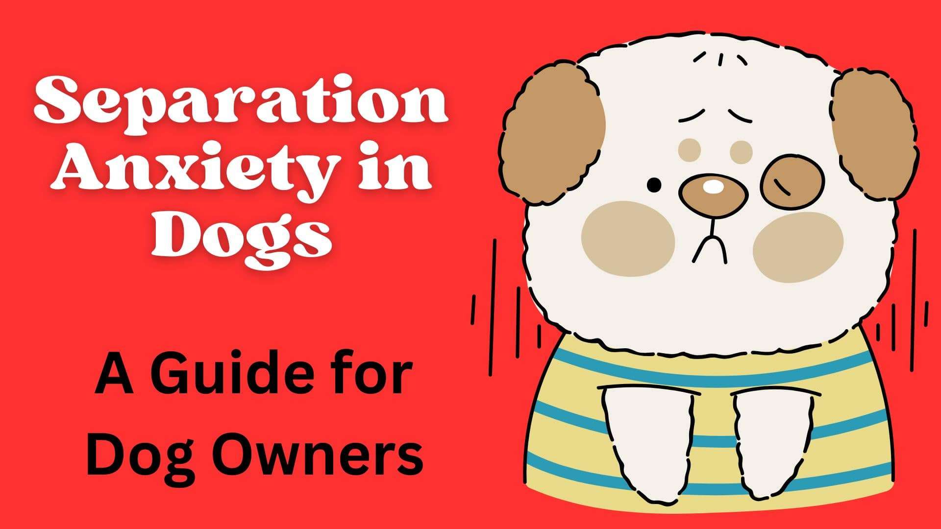 Separation Anxiety in Dogs