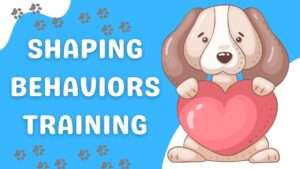 Shaping Behaviors Training: A Dog Training Guide