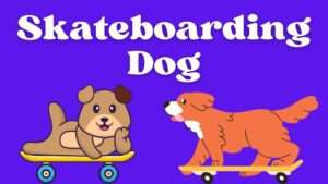 Skateboarding Dog | Paws on Wheels