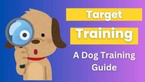 Target Training: A Dog Training Guide