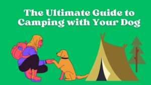 The Ultimate Guide to Camping with Your Dog | Tips and Essentials