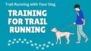 Training for Trail Running | Trail Running with Your Dog