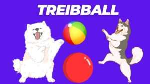 Treibball | Fun and Fitness for Dogs