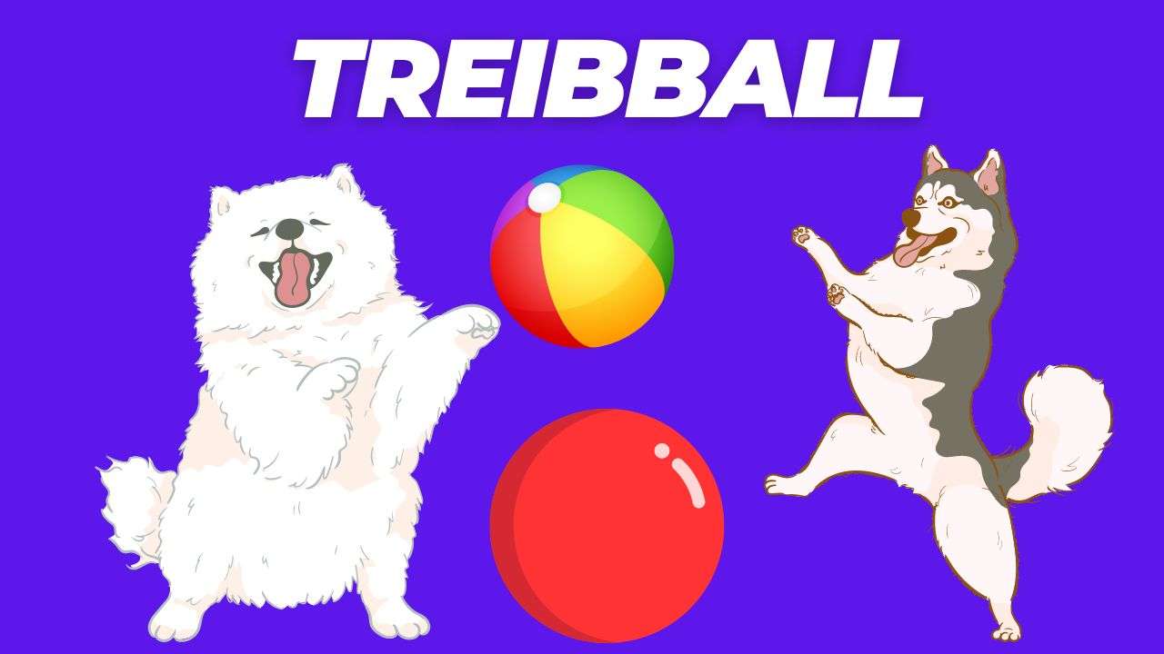 Treibball