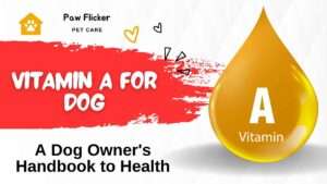 Vitamin A For Dog: A Dog Owner’s Handbook to Health