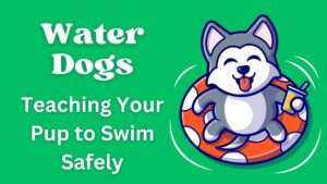 Water Dogs | Teaching Your Pup to Swim Safely