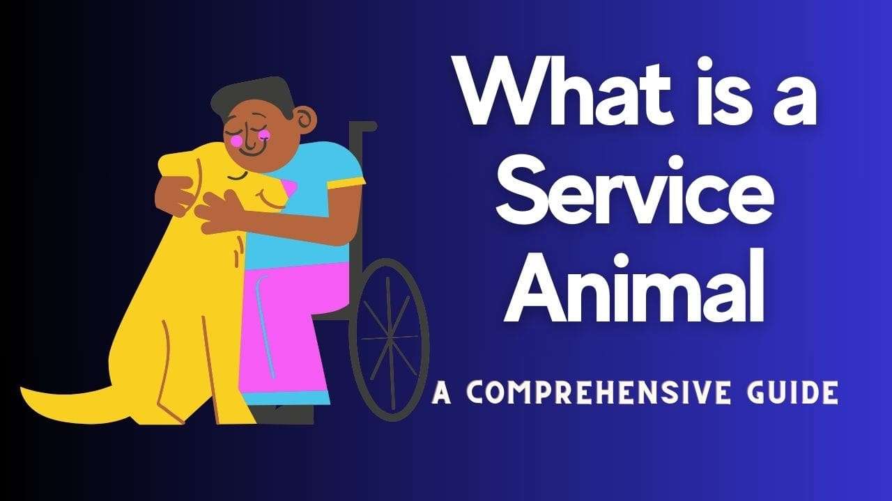 What is a Service Animal: A Comprehensive Guide