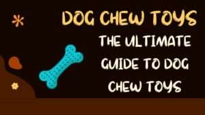 Dog Chew Toys | The Ultimate Guide to Dog Chew Toys