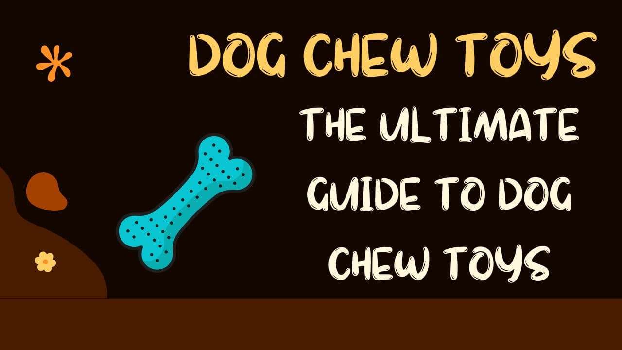 Dog Chew Toys