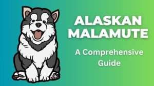 Alaskan Malamute | A Comprehensive Guide