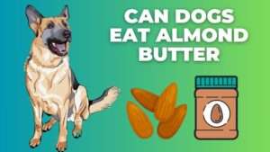 Can Dogs Eat Almond Butter