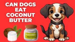 Can Dogs Eat Coconut Butter