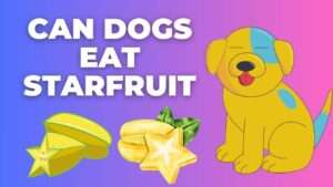 Can Dogs Eat Starfruit